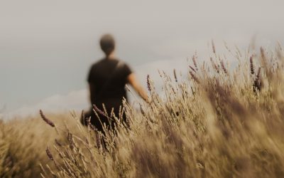 Don’t Let The Anxieties Of Life Choke You | Gospel Reflection