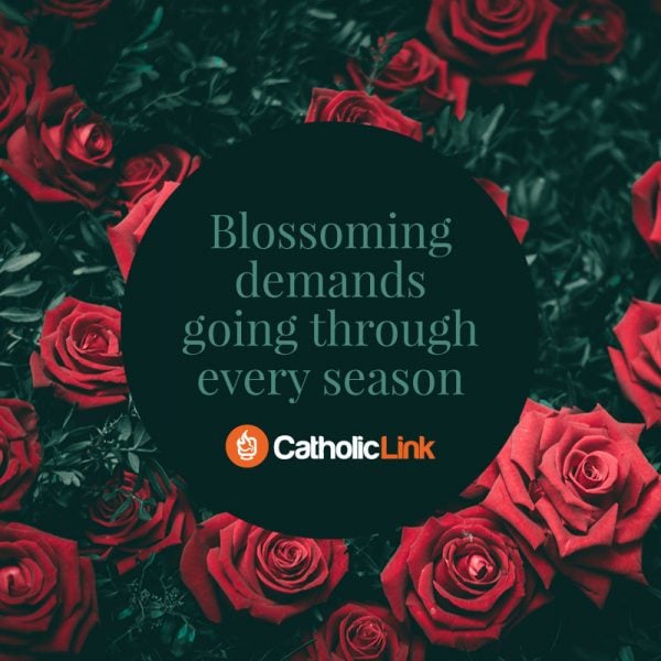 Blossoming Demands Going Through Every Season | Catholic Inspirational Quote