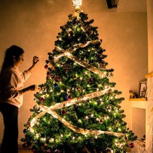 Christmas Tree Blessing Catholic
