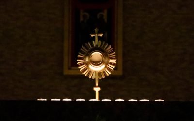 Four Steps For The Eucharistic Revival In The Catholic Church