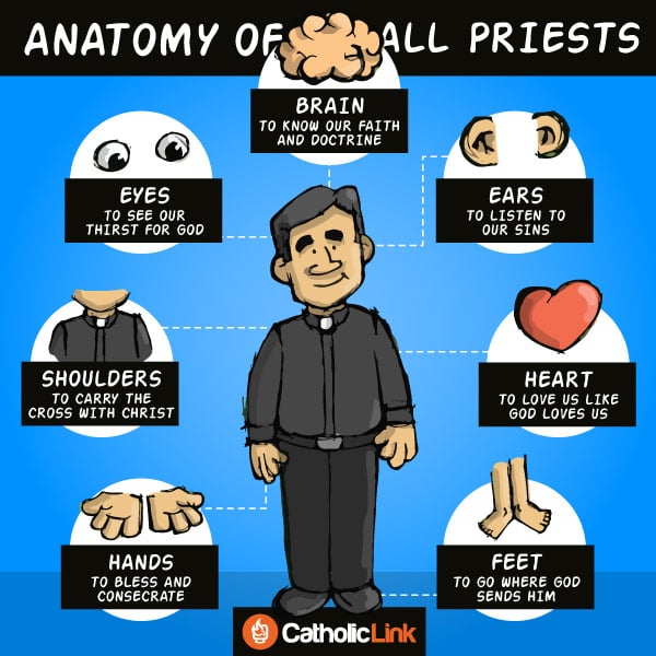iThe Anatomy Of All Priests nfographic-anatomy-priest