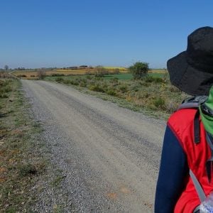El Camino de Santiago: What Is It And Why Is It Important? Catholic Way of St. James