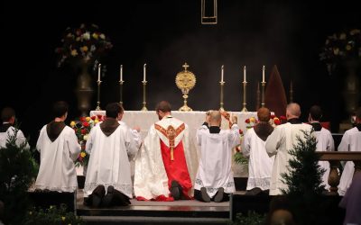 5 Pillars Of The USCCB’s Eucharistic Revival Explained