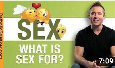 What Is Sex For?