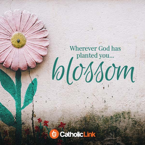 Wherever God has planted you blossom