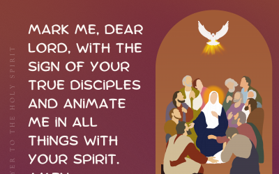 Animate Me With Your Spirit | Prayer To The Holy Spirit