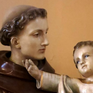 St. Anthony of Padua Quotes