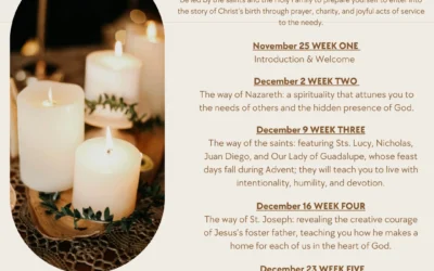 Advent Book Study – Join Catholic-Link For A Digital Small Group!