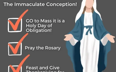 3 Things To Do On The Feast Of The Immaculate Conception